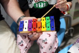 Introducing the 2018-19 Musicians in Healthcare Mentorship Essays